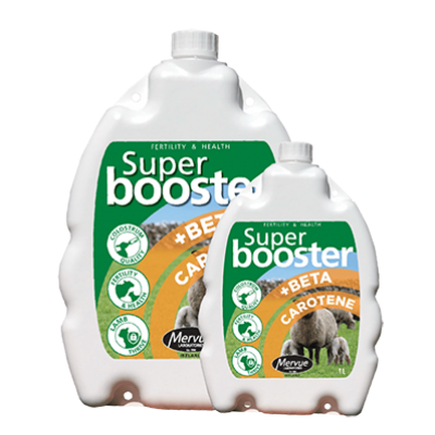 Super Booster Sheep + béta-karotin 1 liter